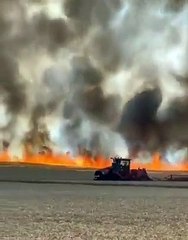 Buğday tarlalarını kim yakıyor?