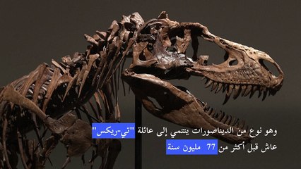 دار سوذبيز تطرح هيكلا عظميا نادرا لديناصور ضمن مزاد في نيويورك