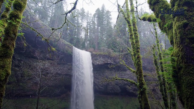حسان بن ثابت شاعر الرسول الذي خاض في الإفك ثم تاب