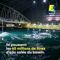 Pourquoi l’armée américaine a t-elle construit une piscine intérieure de la taille du stade de France ?