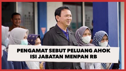 Lowong Sepeninggal Tjahjo Kumolo, Pengamat Sebut Peluang Ahok Isi Jabatan Menpan RB