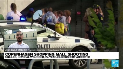 Copenhagen mall shooting suspect had mental health issues