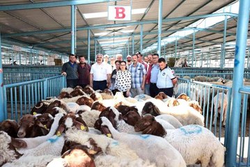 Hibe desteği 200 üreticinin yüzünü güldürdü