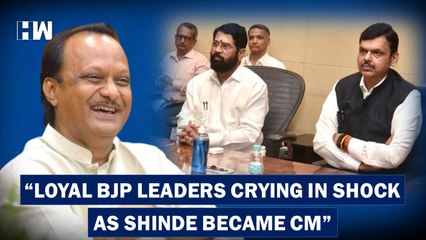 "Real BJP Leaders Can't Stop Crying Since Eknath Shinde Made CM": Ajit Pawar's Witty Dig At Fadnavis
