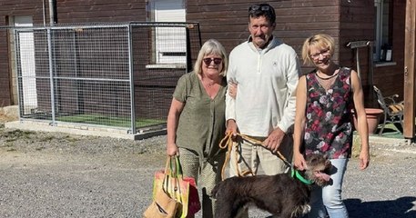 Le chien Fitou a retrouvé ses maîtres dix ans après sa disparition