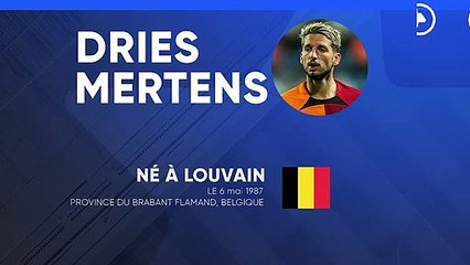 La fiche technique de Dries Mertens
