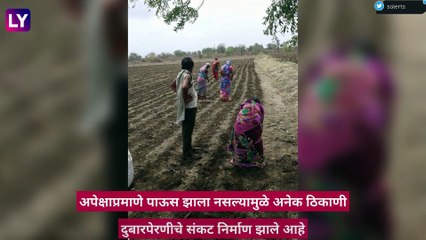 Maharashtra Rains:महाराष्ट्रावर पाऊस रुसला, शेतकऱ्यांवर दुबार पेरणीचे संकट, पाहा काय म्हणाले तज्ञ