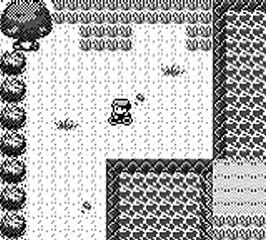 Pokémon Version Rouge online multiplayer - gb