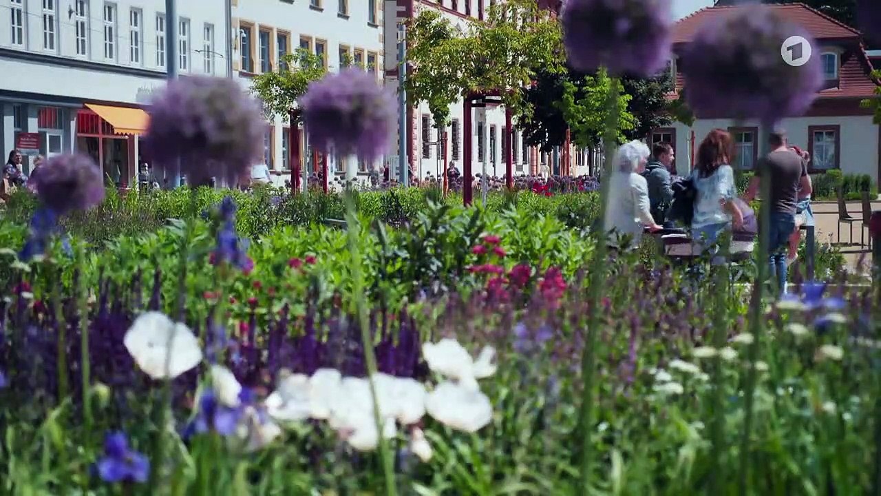 Selbsterkenntnis (284) - In aller Freundschaft – Die jungen Ärzte