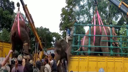 ಆಪರೇಷನ್ ಒಂಟಿ ಸಲಗ ಯಶಸ್ವಿ:ಆನೆ ಸೆರೆ‌ ಹಿಡಿಯೋಕೆ ಕಾರ್ಯಾಚರಣೆ ಹೇಗಿತ್ತು ನೋಡಿ | OneIndia Kannada