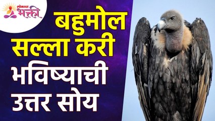 Vulture Bird Motivational Story | नवनवीन अनुभव घेत आयुष्य समृद्ध कसे करावे? Lokmat Bhakti