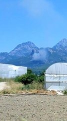 Son dakika haberi! Serik'teki orman yangını kontrol altına alındı