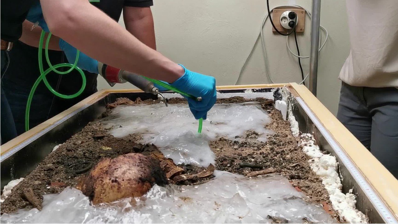 Archéologie : ce squelette a été congelé pour ê...