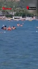 Marmaris'te Köpek Balığını Süpürgeyle Kovdular - Türkiye Gazetesi