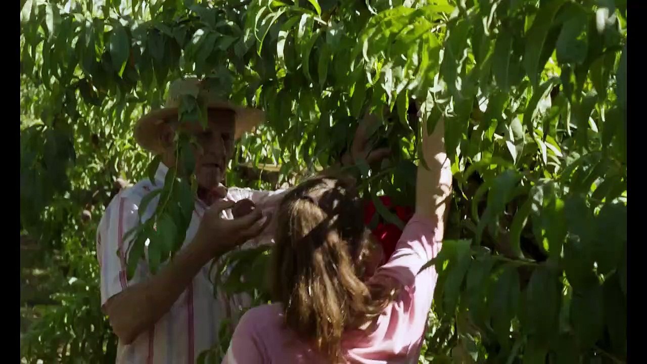 Alcarràs - die letzte ernte trailer df