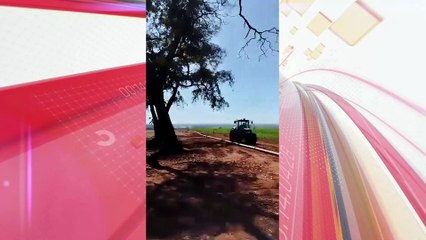 Vídeo mostra FAB interceptando avião com mais de 600 kg de cocaína