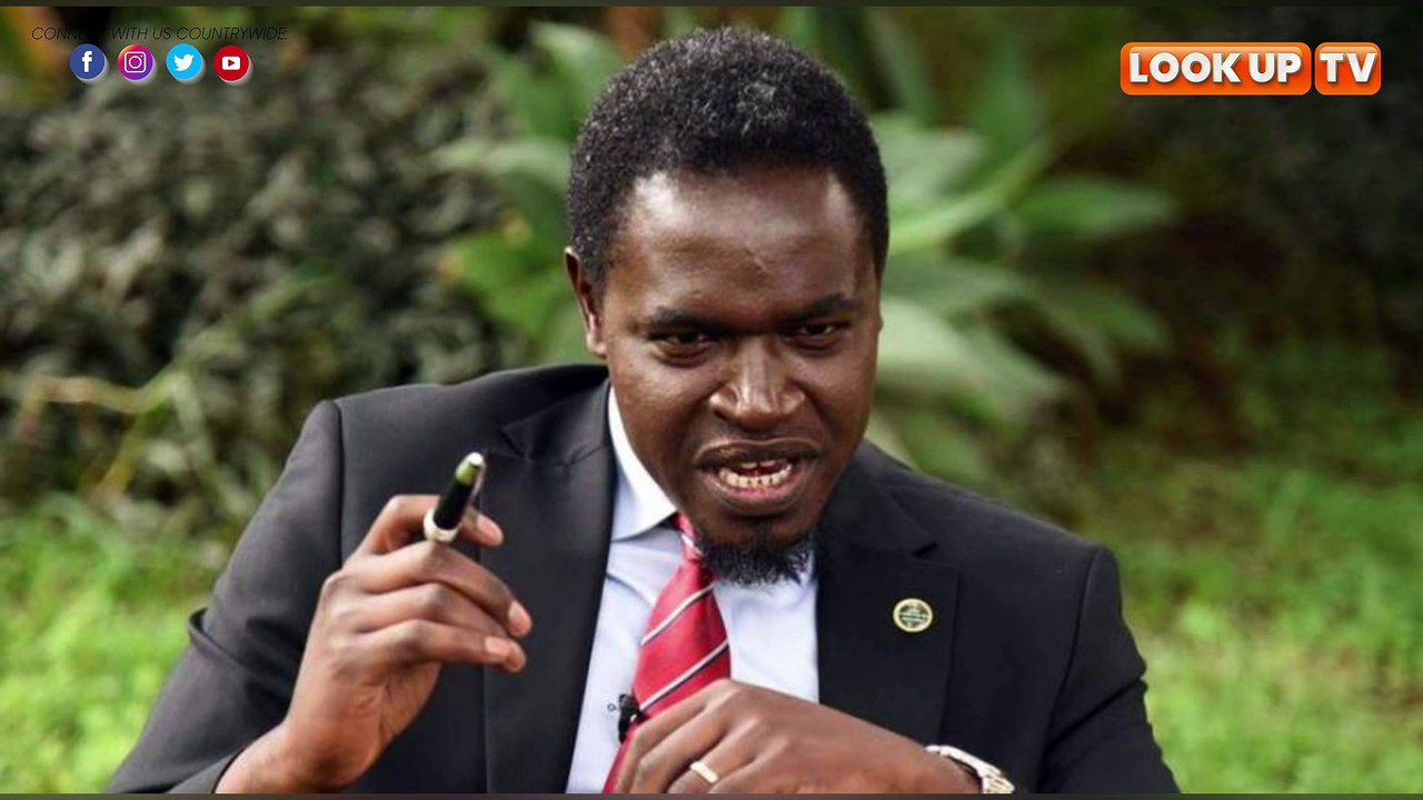 Havi vs Mudavadi