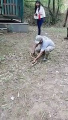 इंसान ही नहीं जंगली जीव भी है प्लास्टिक से परेशान, नेट की जाली में फंसा सर्प