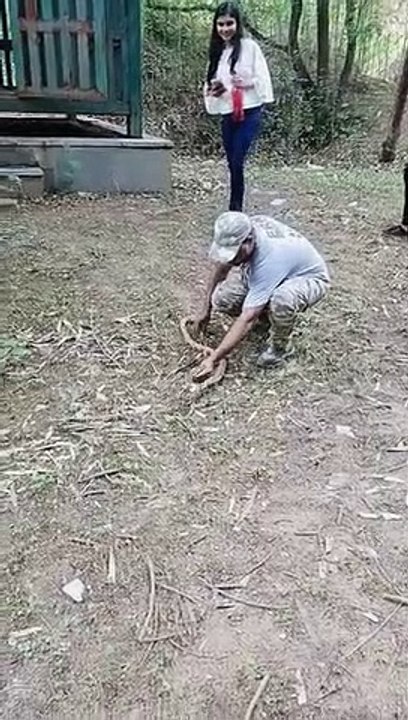 इंसान ही नहीं जंगली जीव भी है प्लास्टिक से परेशान, नेट की जाली में फंसा सर्प