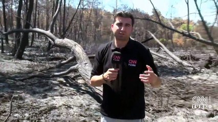 Büyük yangının ardından Marmaris