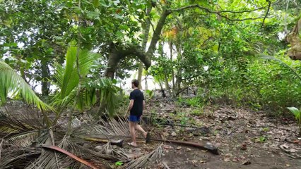 Test DJI Mini 3 Pro - ActiveTrack 4.0