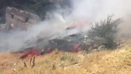 Ağaçlık alanda çıkan yangın söndürüldü