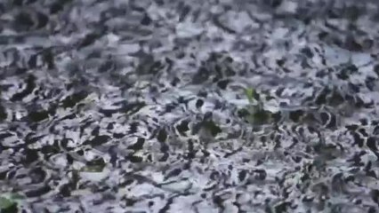 New way to control flash flooding uses stormwater inlets