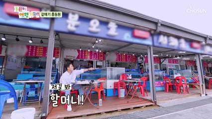 갈매기 총동원 오늘도 동원이 놀아주는 민호 삼촌 TV CHOSUN 220704 방송
