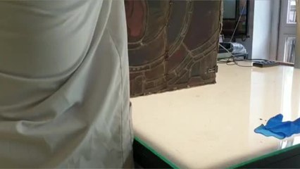 Des Côte-d'Oriens restaurent les vitraux de Notre-Dame de Paris