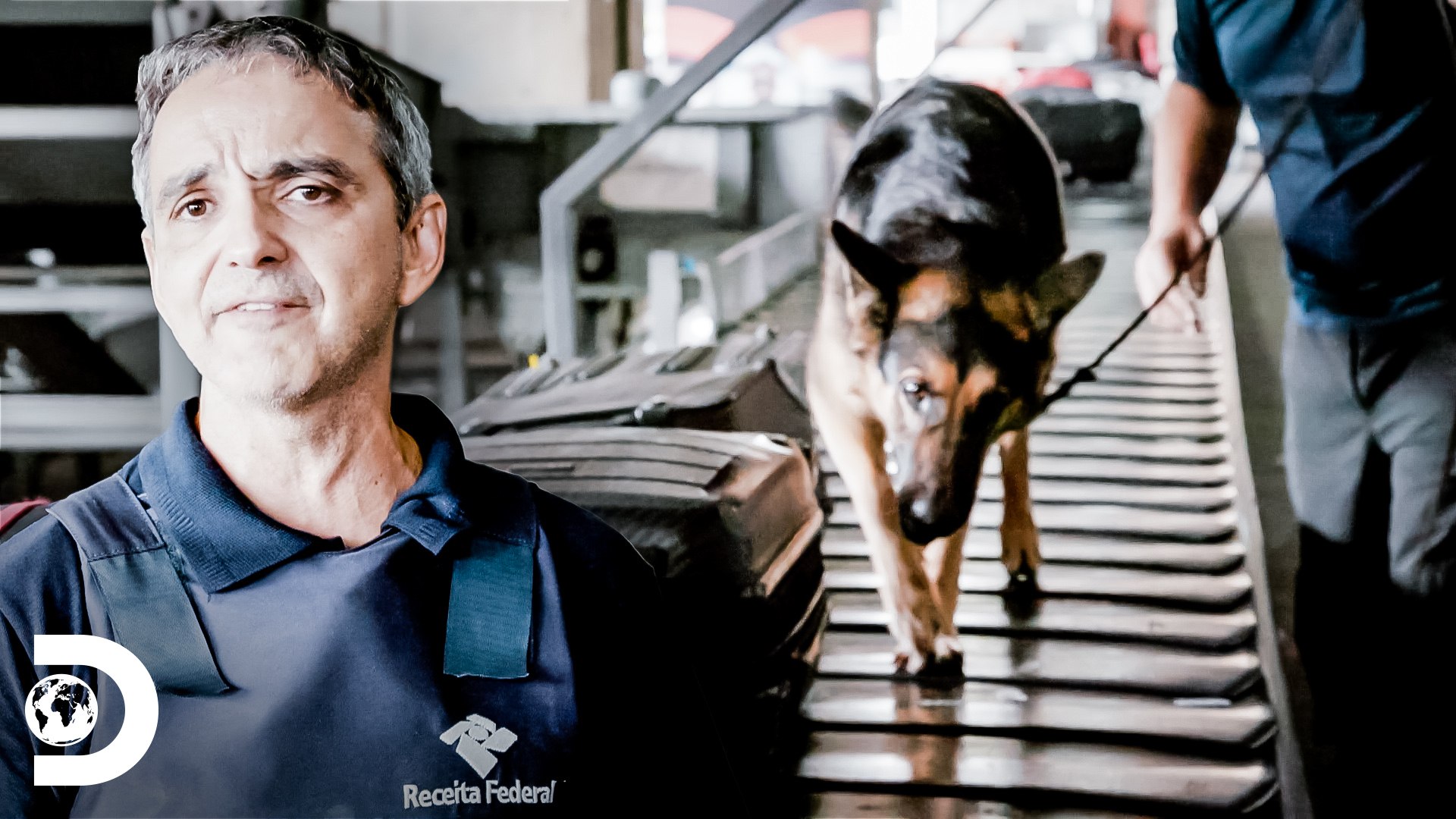 Cão farejador detecta uma mala com produto proibido | Aeroporto - Área Restrita | Discovery Brasil