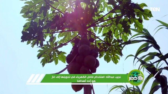 بالأخضر | توفير طاقة متجددة من مصادر مستدامة