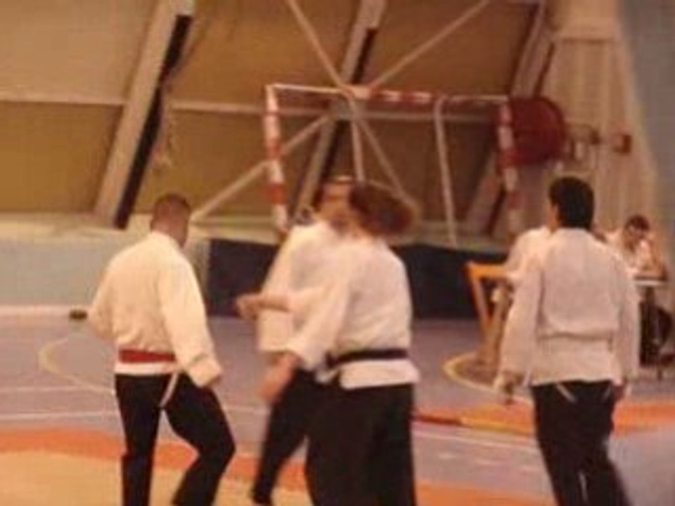 Combat Viet Vu Dao Miramas 09.03.08