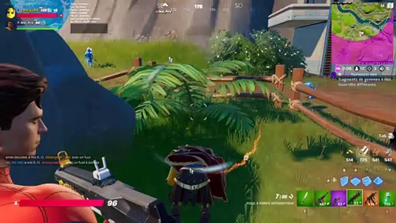 Fortnite 2022.01.13