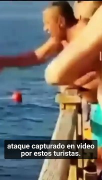 Two women killed by shark attacks in the Red Sea (2)
