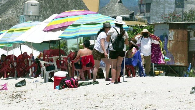 Por veda del ostión de piedra, ostioneros buscan opciones | CPS Noticias Puerto Vallarta
