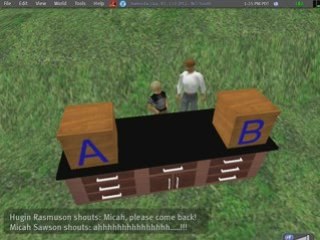 Des agents intelligents dans Second Life ?