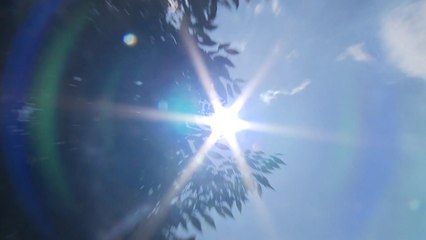 [날씨] 오늘도 열대야·찜통더위...오후 요란한 소나기 / YTN