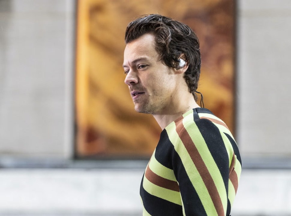 Harry Styles sagt Konzert ab
