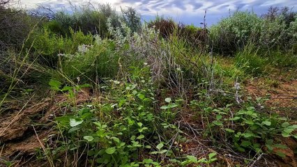 Exclusive Sale: 10,330 km² Mungerannie Aggregation on Cooper Creek 🌾