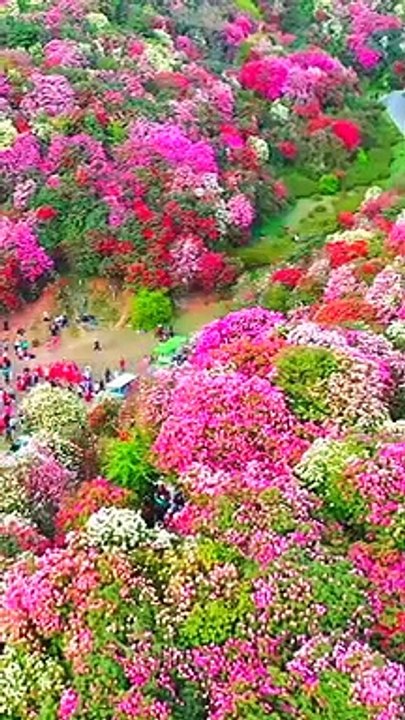 طبيعة ولا في الخيال ;Nature ni dans l'imaginaire; Nature nor in imagination