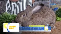 Rabbit, paano inaalagaan para pagkakitaan? | Unang Hirit