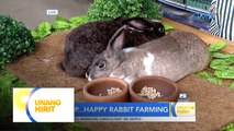 Tamang pag-alaga sa rabbit, alamin! | Unang Hirit