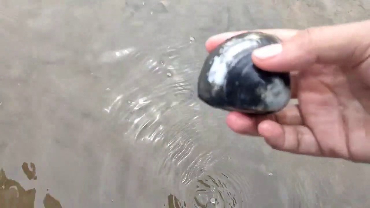 Ini cara orang Kalimantan turun temurun mencari kerang di dalam air