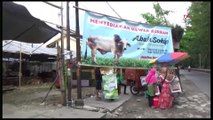 Jelang Idul Adha, Penjualan Hewan Kurban di Surabaya Sepi Pembeli Dampak PMK