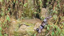 WATERFALL NATURAL BEAUTY IN THE PRINCIPAL FOREST - RELAX WATER SOUNDS -THAC NGUYEN THUY