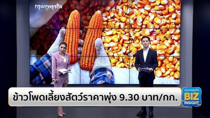 ข้าวโพดเลี้ยงสัตว์ราคาพุ่ง 9.30 บาท/กก.