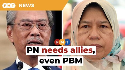 PN needs all the allies it can get, says analyst