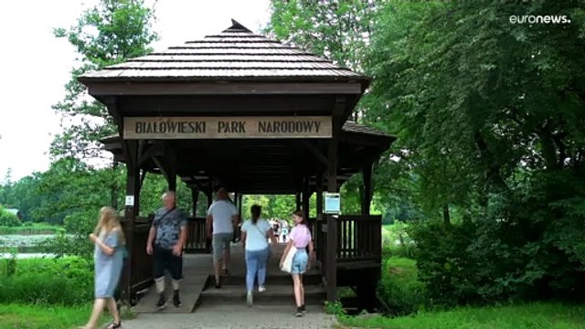 Unfrieden an Grenze zu Belarus: Wir nehmen jden Tag Menschen fest