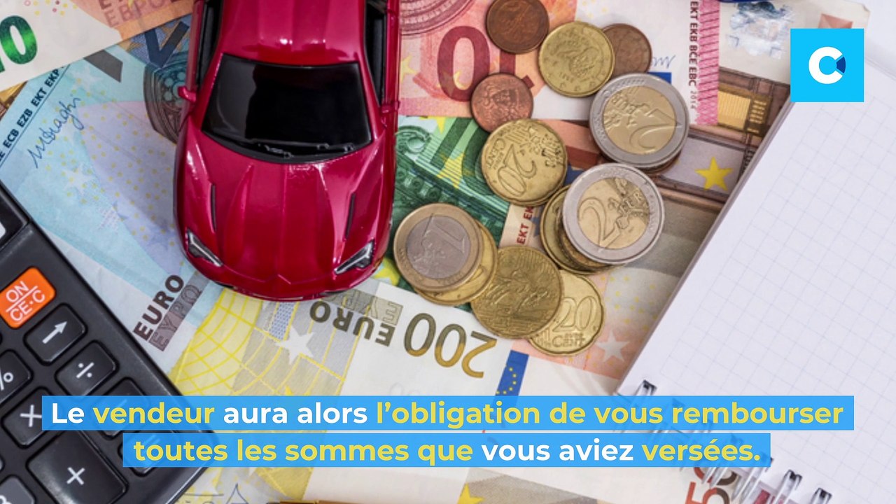 Vice caché : faire annuler la vente par un professionnel