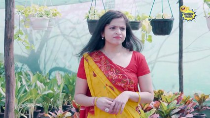 घर में कौनसा पौधा लगाया जाये| इंडियन फनी वीडियोस | कॉमेडी तड़का